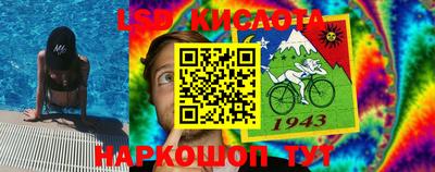 бошки Волгодонск