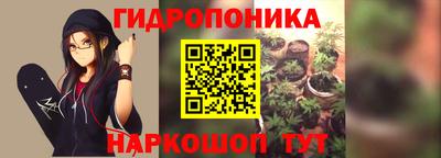 бошки Волгодонск