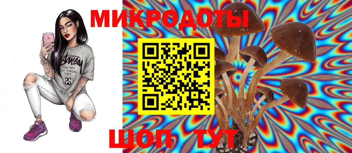 Псилоцибиновые грибы GOLDEN TEACHER  сколько стоит  Вход с VPN  Норильск  Псилоцибиновые грибы MAGIC MUSHROOMS 